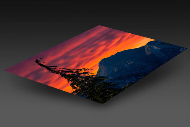 print preview