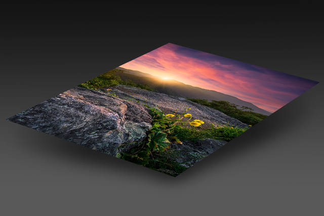 print preview