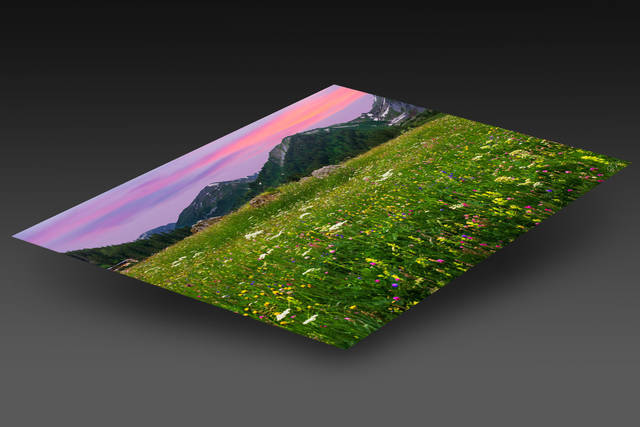 print preview
