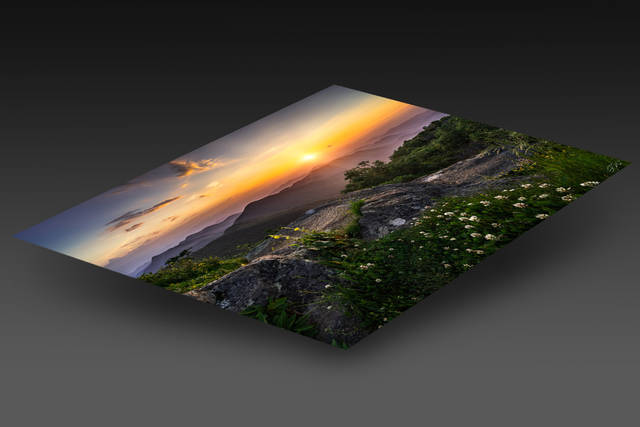 print preview