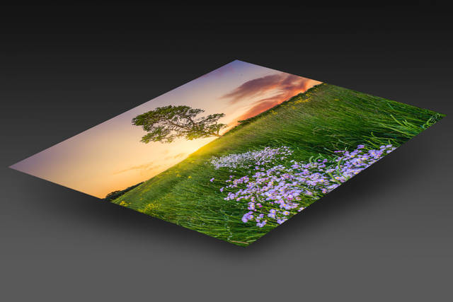 print preview
