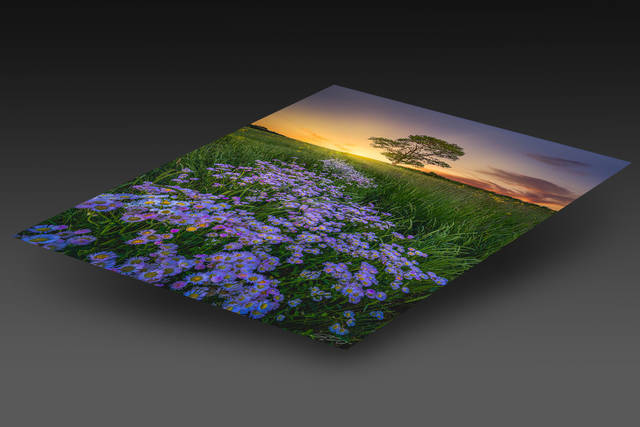 print preview